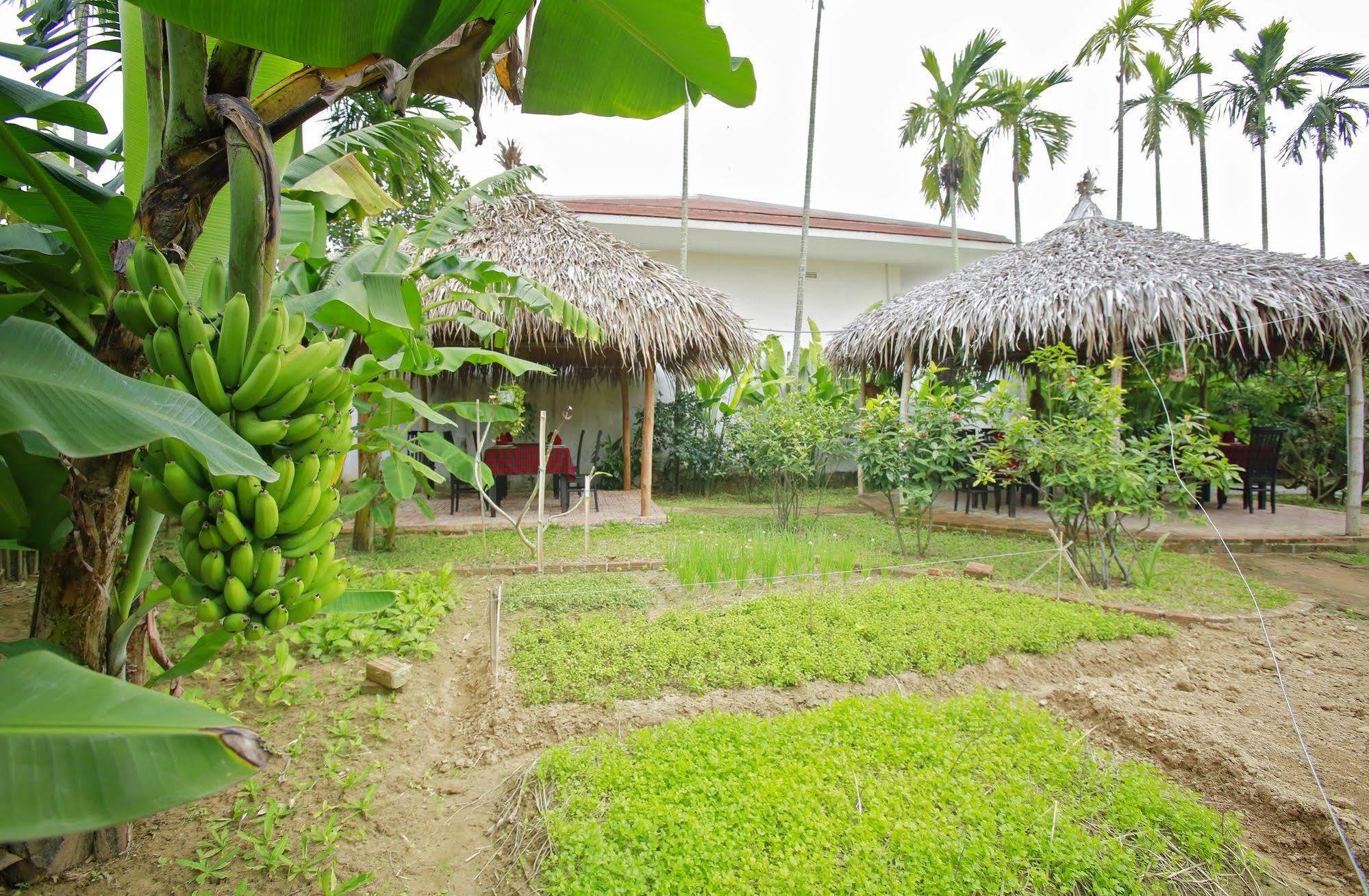 Hoi An Red Frangipani Villa Buitenkant foto
